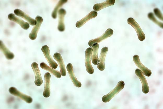 Nigerians urged not to worry over diphtheria outbreak