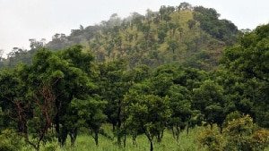 US$562 billion needed to reach net zero emissions