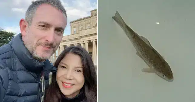Cindy Lao discovered her dinner was still alive almost two days after purchasing it