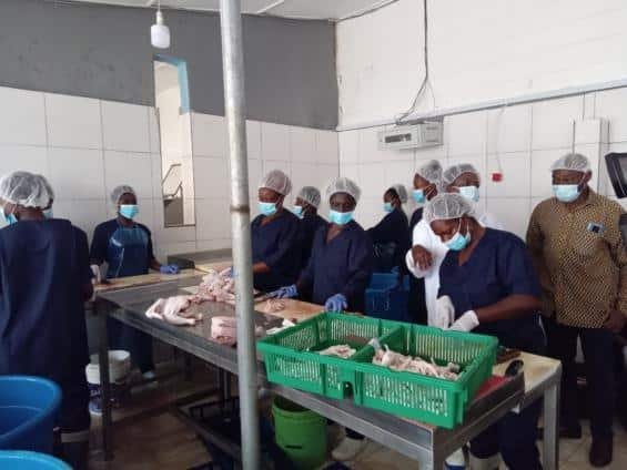 MoFA provides support to poultry farms with aim to scale up production