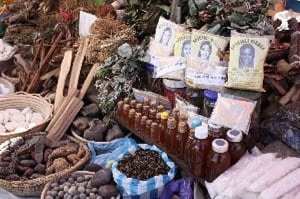 Researchers are urged to work with practitioners of herbal medicine