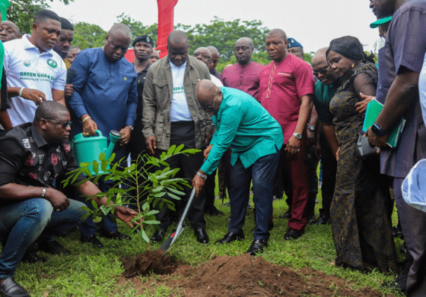 Government to spend GHS2.5m in planting trees