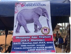 Assin North constituents engage in one-week observation event to mock NPP with ‘Obaapanin Ama Elephant’ nickname