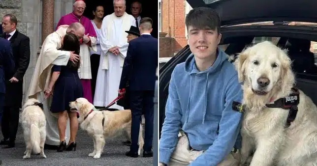 Beloved dogs of young man who died in Greece present at his funeral