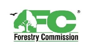 Auditor General reveals how Forestry Commission incurred GHS51M debt