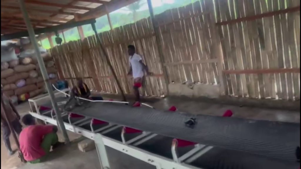Bamboo Processing Factory in Central Region to begin operation after trial
