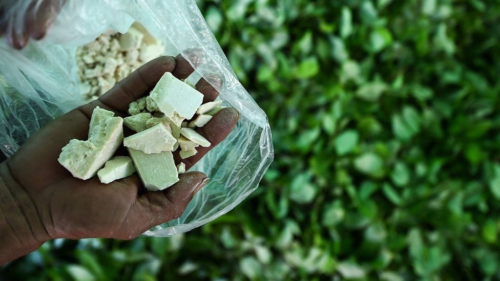 Cocaine to become Colombia’s main export – Bloomberg