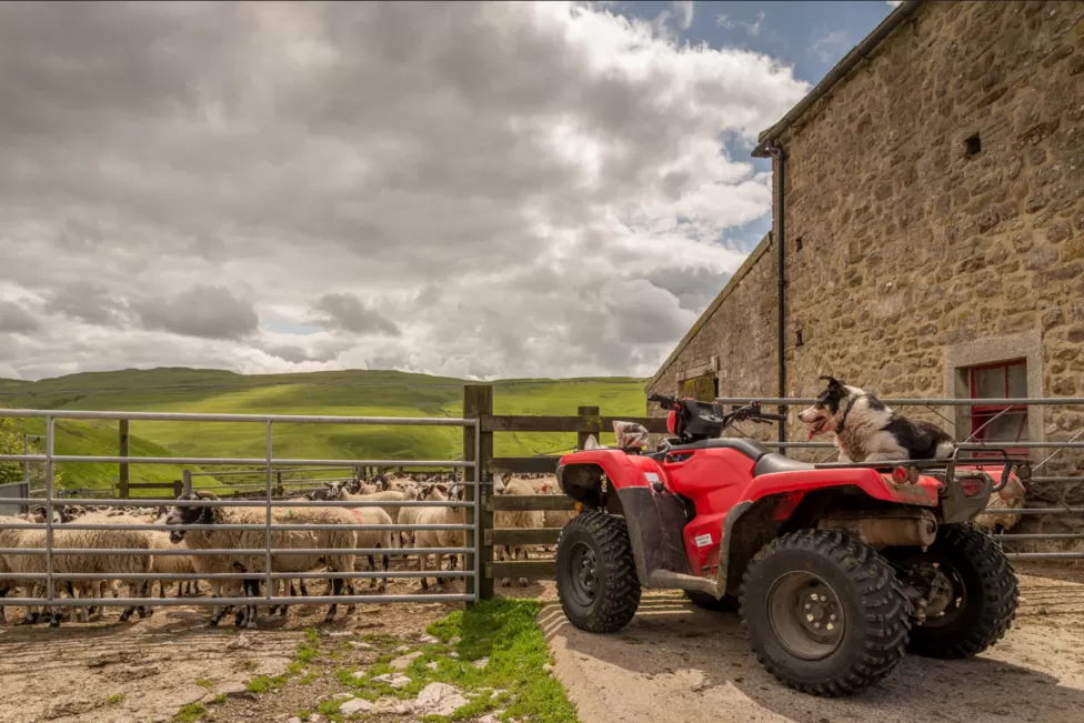 Ireland government compels riders of quad bikes to wear helmets