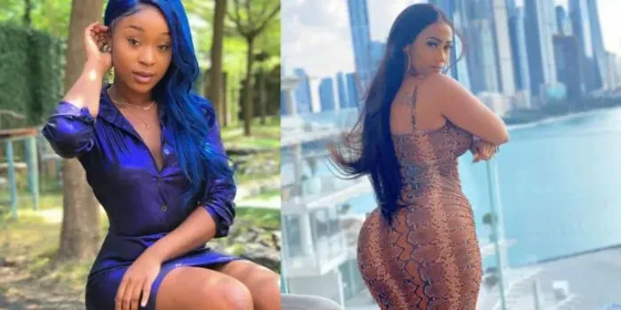 Unexpected drama unfolds as Efia Odo and Hajia4Real clash on GH Queens reality show