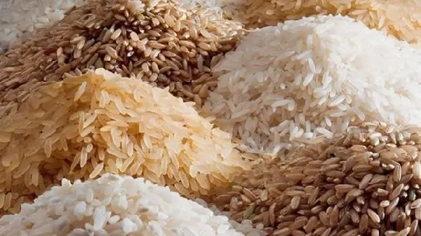 Rice sufficiency ambitions in jeopardy as 2024 deadline approaches