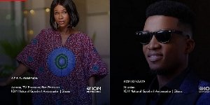 UN appoints Ama K. Abebrese and Kofi Kinaata