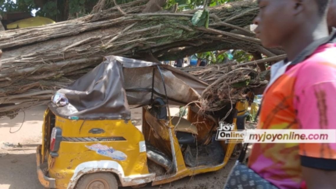 Man injured after tree fell on his tricycle in Kumasi
