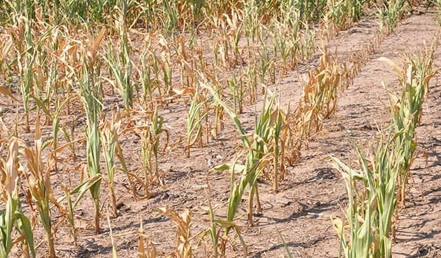 We are with you – World Bank to communities hit by drought