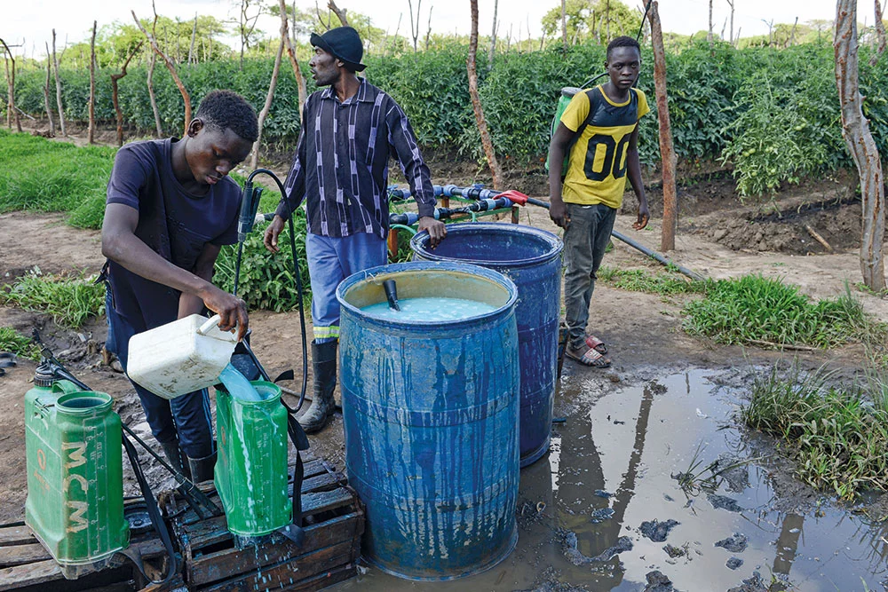 Health safety at risk as farmers feed crops with water from polluted Pra River